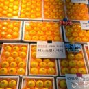 광택농장 이미지