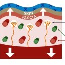 짐포레스트 방배점 이미지