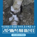 대호수선 네이버블로그