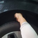 노스게러지 이미지