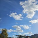 월드에코팜 이미지