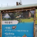 힐링캠프예서원 이미지