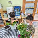 백석초등학교 병설유치원 이미지