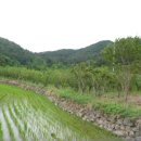 구산면517 이미지