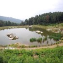 숲향기 목공방 이미지