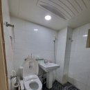 동부초교 이미지