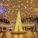 포레스트몰 이미지