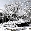 하이얀피부 이미지