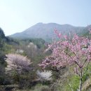 고향의 봄 이미지