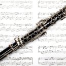 클래식 1:1 개인레슨 이미지