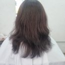 김해대로 2505번길 | 망한 레이어드 컷-하이 레이어드로 변신 성공