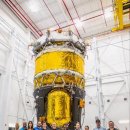 블루체크(BLUE CHECK) 이미지