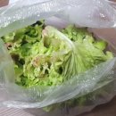 원미왕족발 이미지