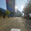 양지임업 | 임업종묘기사 실기 필답형 시험 후기(별내고등학교)