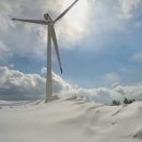 매화목장 이미지