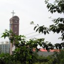 서광교회 이미지