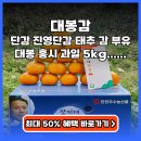 진영농원 | 대봉감 시골농원 진영단감 5kg 추천 (최대 50% 할인)