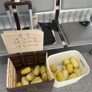 후평3동 행정복지센터 이미지