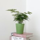 아트스톤 이미지