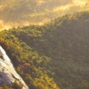 양지식당 이미지