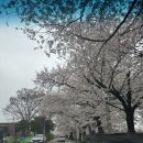 5살 아이랑 안성팜랜드 오픈런해서 마감까지 알차게 논 후기 1.안성팜랜드 승마체험