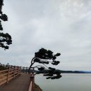 콧바람여행사 이미지