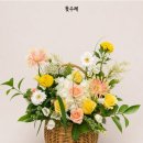 오늘(10월9일)은 사라 축일입니다 이미지