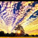 홍당구장 이미지