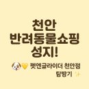 펫엔글라이더 천안점 | 천안 반려인 필수코스 펫엔글라이더 천안점에서 만난 감성 펫샵, 강아지도 행복해지는 공간