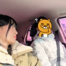 김해신신낚시 티스토리