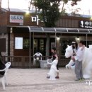 산성시장8 이미지