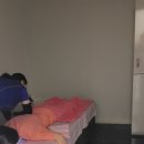 신안골드리치 | 안산마사지 THE조은바디마사지 안산점 방문후기