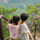 인제04-3 이미지