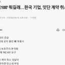 신호과외
