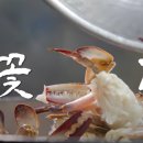 꽃게 해장국 이미지