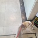 24시 잠실온 동물병원 이미지