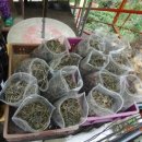 산천민박 이미지