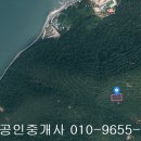 여수시 율촌면 봉전리 임야1421제곱,매1000만원,전남토지매매,여수토지매매 이미지