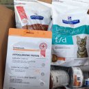 한사랑동물병원 이미지