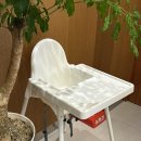 다사랑 애견 | 대천 보령 가성비 신상 베이커리 카페 텐퍼센트 메뉴 가격 솔직한 맛후기