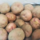 서홍농장 이미지