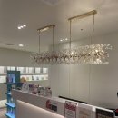 서현메디 이미지