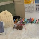 멍보드레 이미지