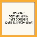 부모 자식간 5천만원이 공제는 1년에 500만원씩 10년에 걸쳐 받아야 되는지 이미지