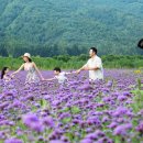 부동산 생활법률 이미지