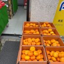 호남청과 이미지