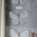 지나세탁소 이미지