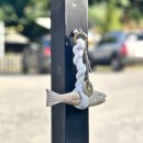 한강기원 | 🚗 싼타페 MX5 하이브리드 고사 후기 | 액막이 부적 &amp; 막걸이로 무사고 기원 (내돈내산 리얼 고사 준비)