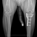 보라매동물병원 이미지