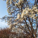 운악골 가평점 이미지